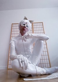 Cosplay-Cover: Chat Blanc