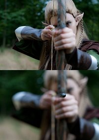 Cosplay-Cover: Legolas Thranduilion ➤ Fellowship of the Ring