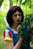 Top-3-Foto - von Sova