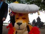 Foto des Kostüms