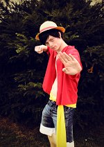 Cosplay-Cover: Monkey.D.Ruffy (after 2 years version)