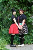 Top-3-Foto - von -Krone-
