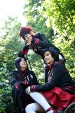 Top-3-Foto - von -Krone-