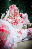 Top-3-Foto - von -Krone-