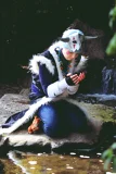 Top-3-Foto - von ShiroTsubasa