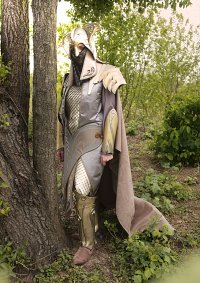 Cosplay-Cover: Mirkwood Palace Guard