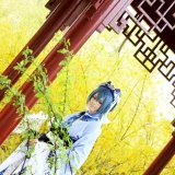 Top-3-Foto - von BlueHurricane