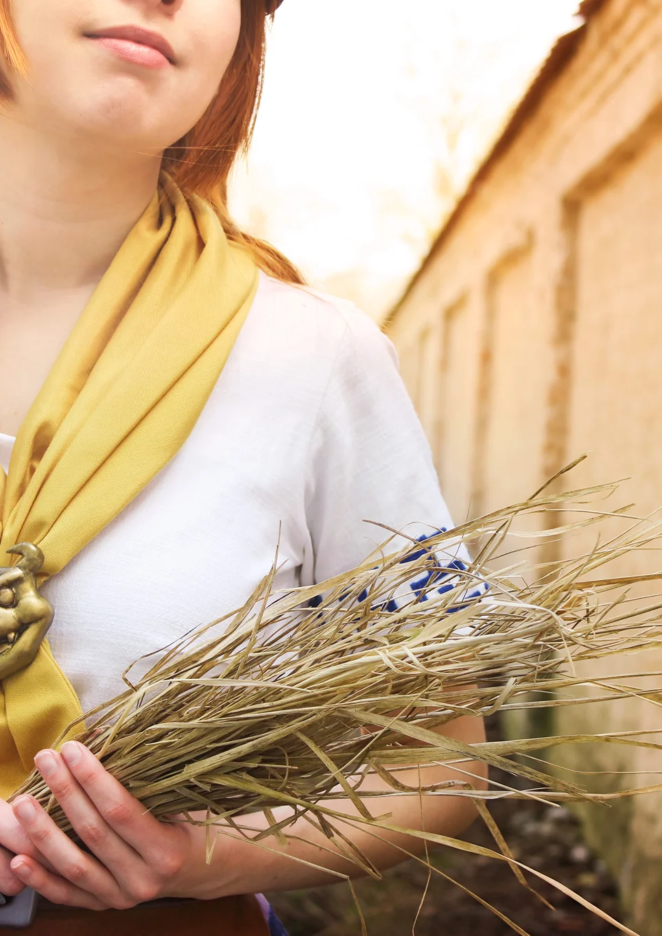 Cosplay-Cover: Malon