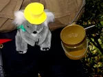 Foto des Kostüms