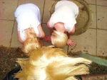 Foto des Kostüms