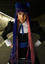 Cosplay-Cover: Anarchy Stocking [ Female | Basic ]