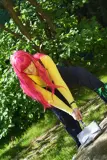 Top-3-Foto - von Chocobo-Girl