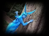 Top-3-Foto - von Fley