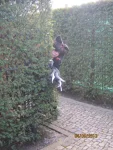 Foto des Kostüms