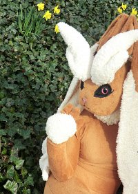 Cosplay-Cover: Lopunny (Schlapor)