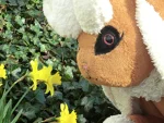 Foto des Kostüms
