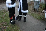 Top-3-Foto - von Dresha