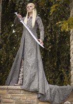 Cosplay-Cover: Thranduil Robe Version