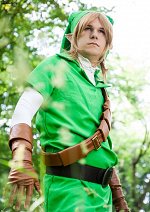 Cosplay-Cover: Link