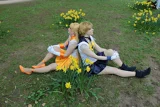 Top-3-Foto - von Amy-Sama