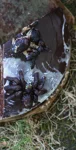 Foto des Kostüms