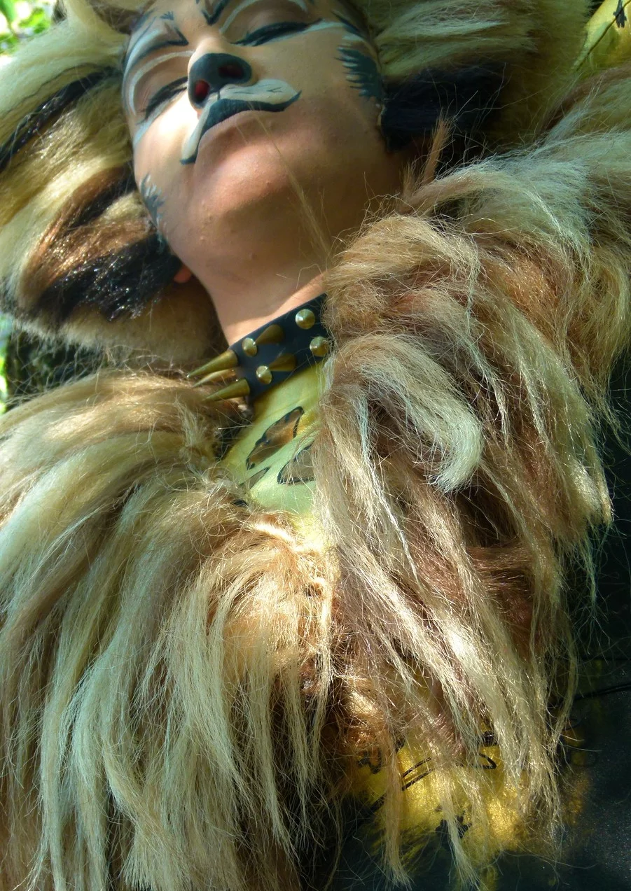 Cosplay-Cover: Rum Tum Tugger