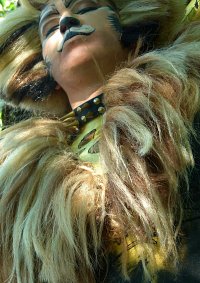 Cosplay-Cover: Rum Tum Tugger