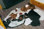 Foto des Kostüms