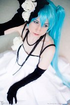 Cosplay-Cover: Miku Hatsune [初音 ミク] (camellia)