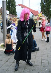 Cosplay-Cover: Marluxia