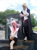 Top-3-Foto - von Ashelia