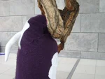 Foto des Kostüms