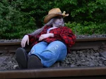 Cosplay-Cover: Otis B. Driftwood