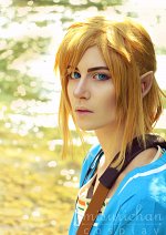 Cosplay-Cover: Link [Breath of the Wild]