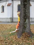 Foto des Kostüms