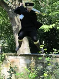 Top-3-Foto - von Edoo