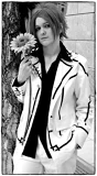 Top-3-Foto - von Prince_Belca
