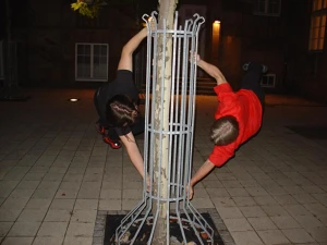Foto