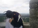 Cosplay-Cover: Itachi