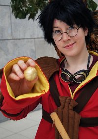 Cosplay-Cover: Harry James Potter [Quidditch]