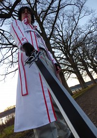 Cosplay-Cover: Kazuto Kirigaya Knights of Blood