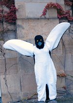 Cosplay-Cover: Pinguin
