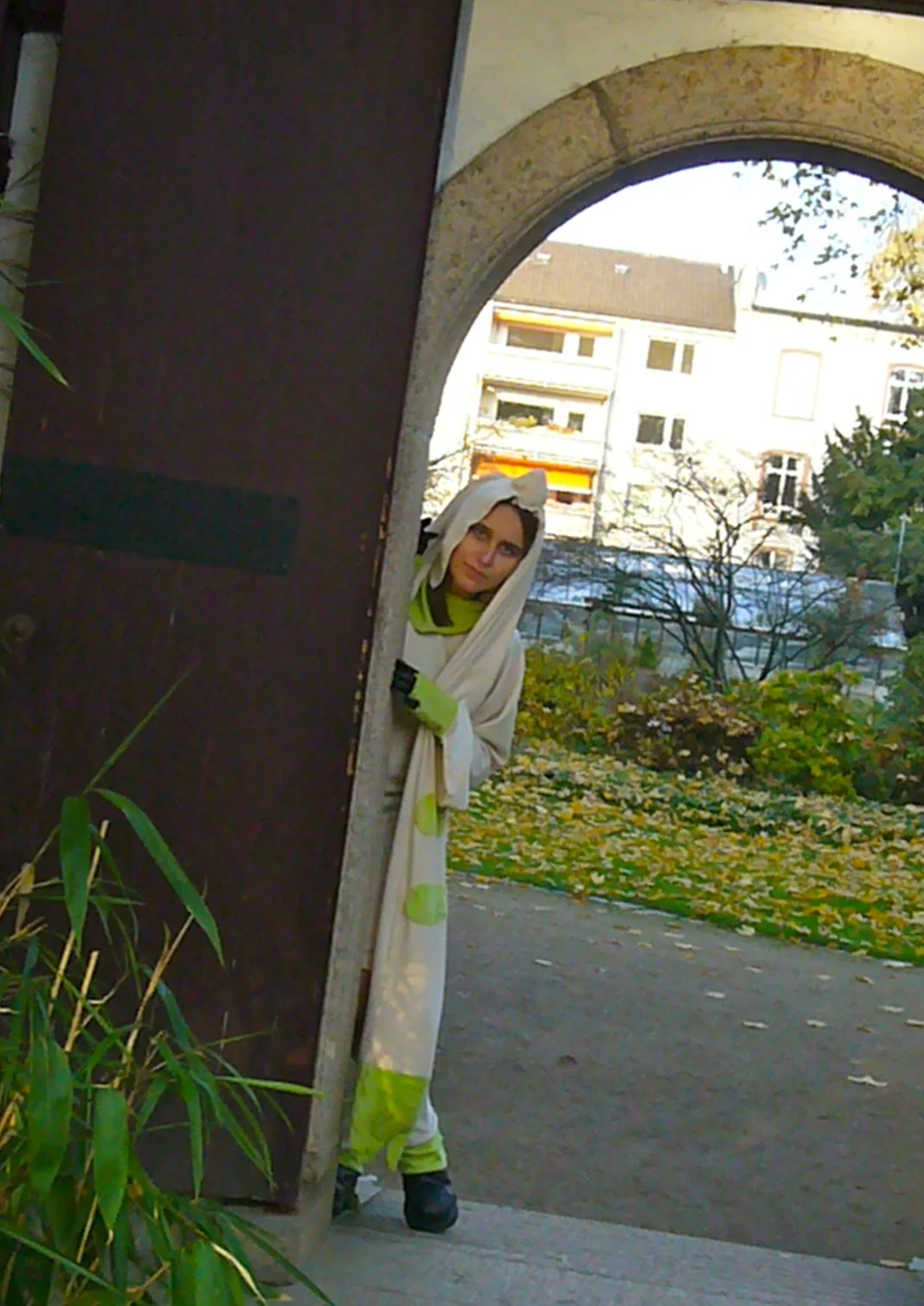 Cosplay-Cover: Terriermon