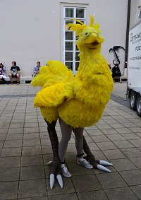 Cosplay-Cover: Chocobo