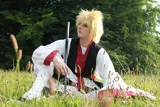 Top-3-Foto - von Yellow_