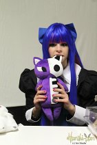 Cosplay-Cover: Anarchy Stocking ~Basic~