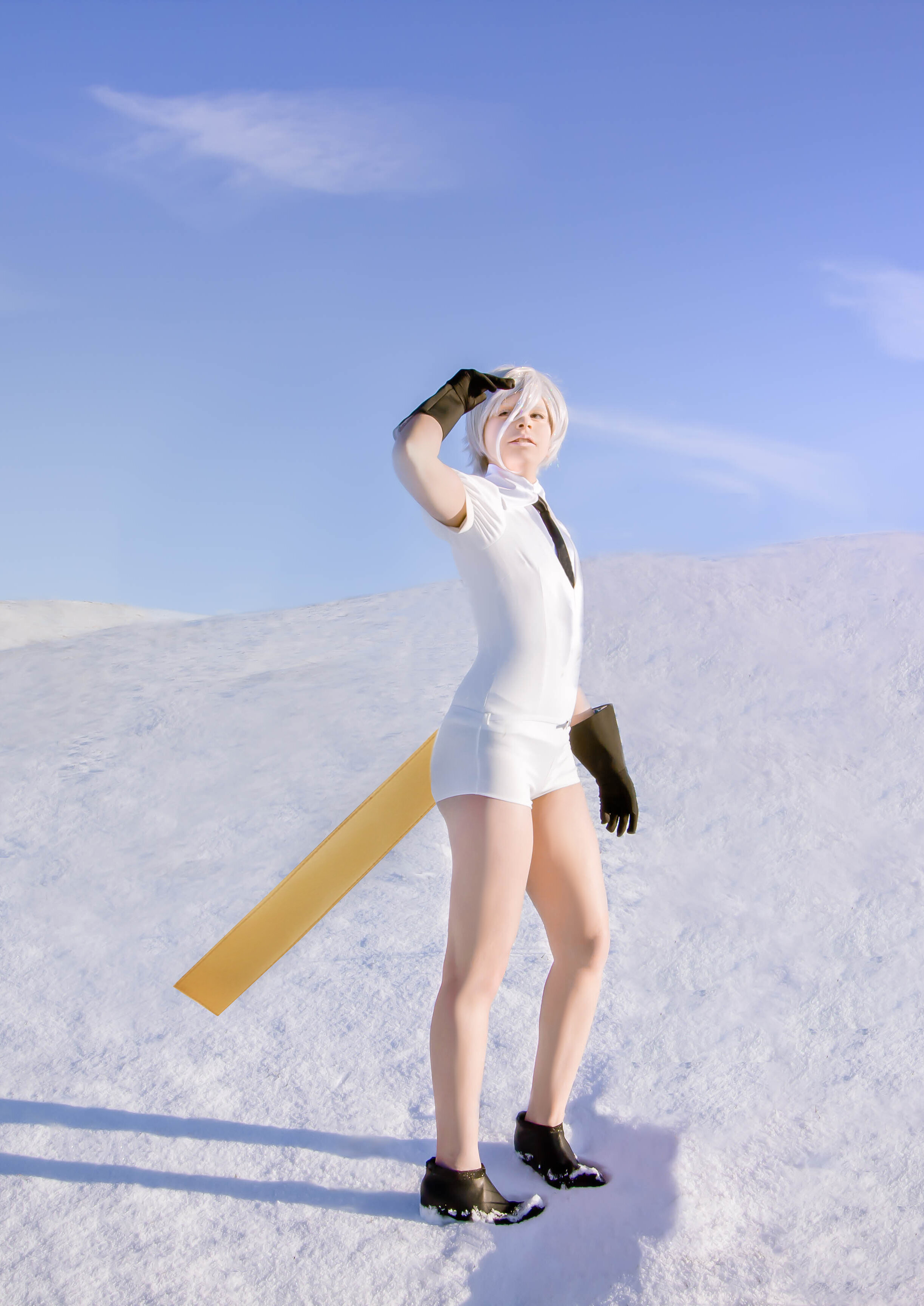 Cosplay-Cover: Antarcticite