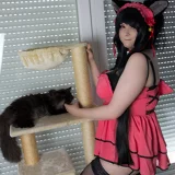 Top-3-Foto - von Daphne_Purpura