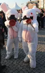 Foto des Kostüms
