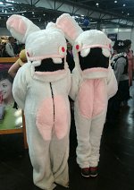 Cosplay-Cover: Ravin Rabbid LBM 2012